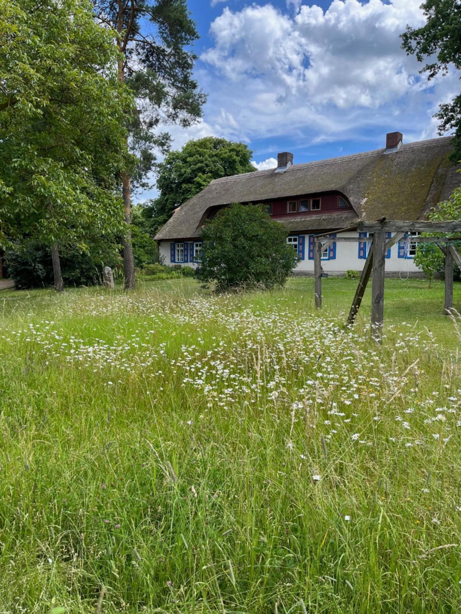 Pfarrhaus Tollensesee Penzlin Luaran gambar