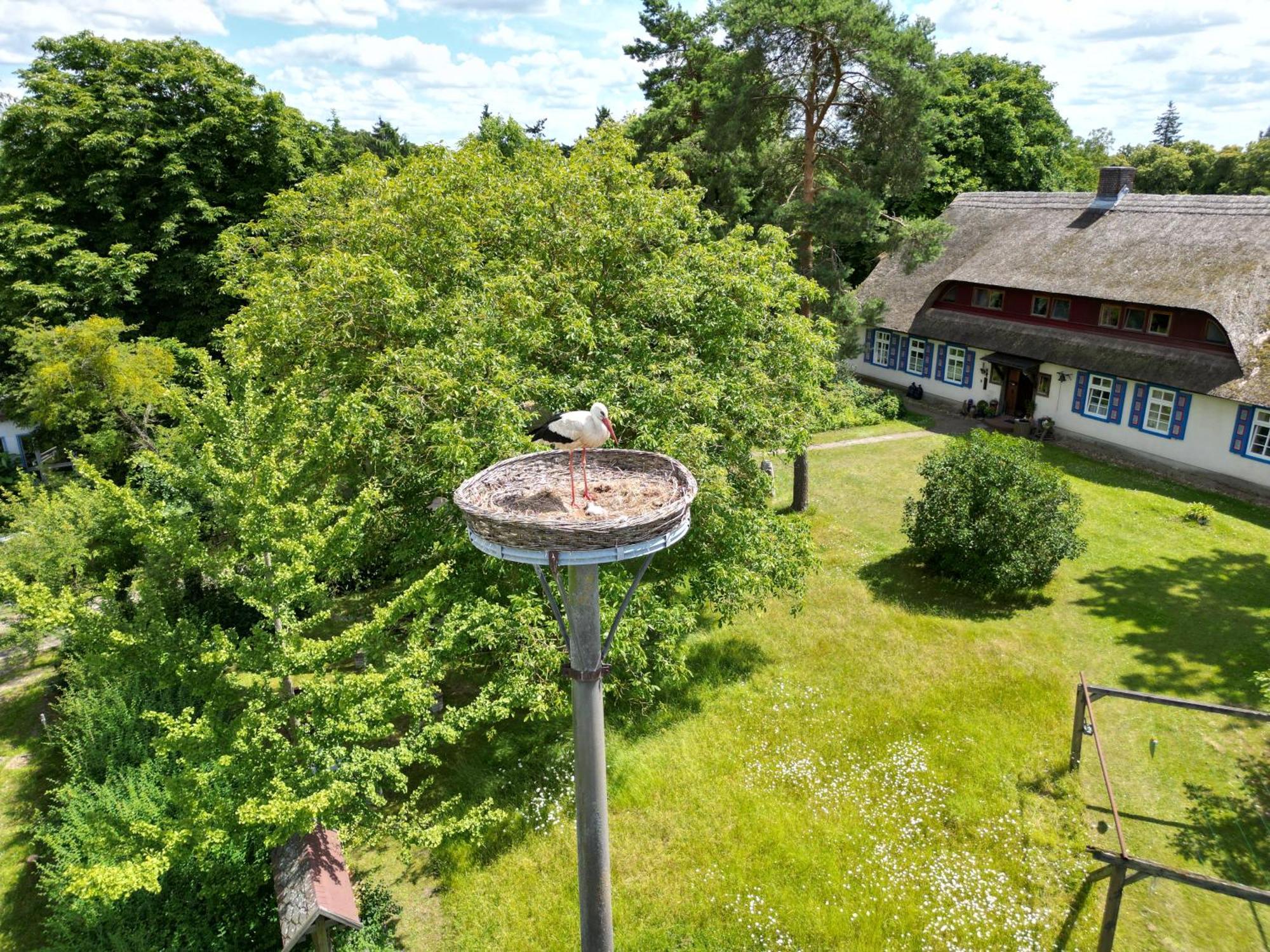 Pfarrhaus Tollensesee Penzlin Luaran gambar